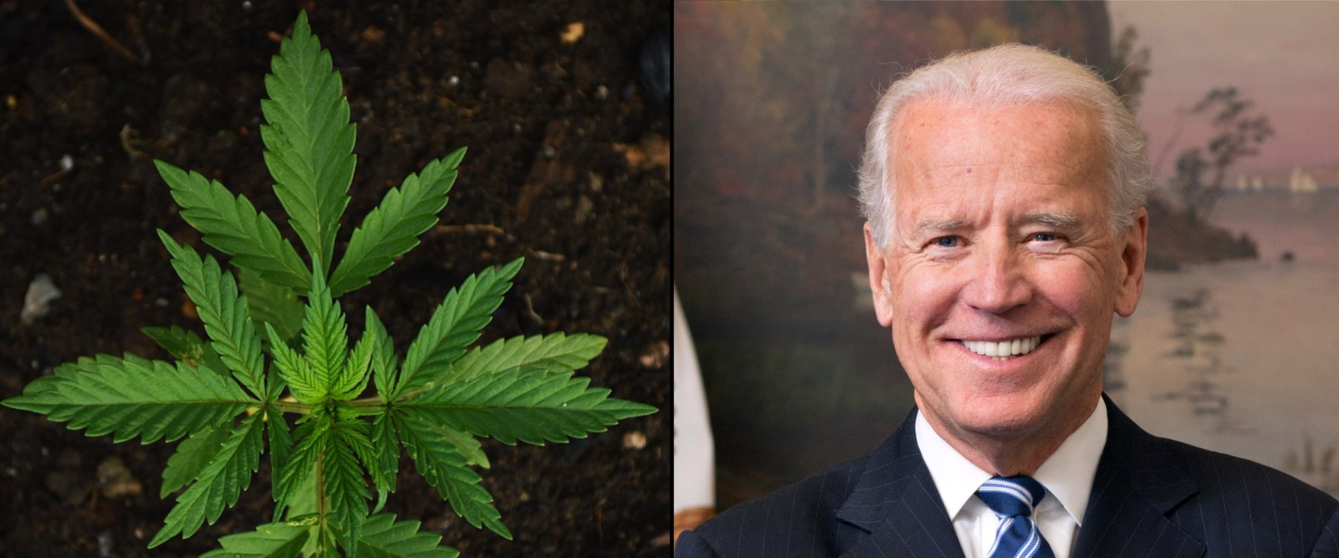 Should marijuanas be legalized federally?