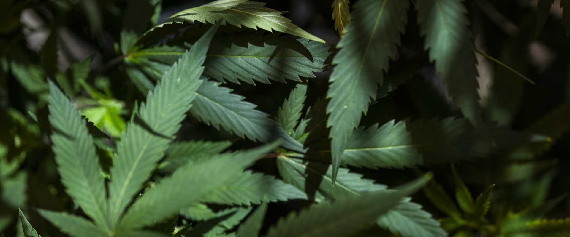 What is the drug legalization debate?