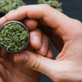 Does cannabinoids help with anxiety?