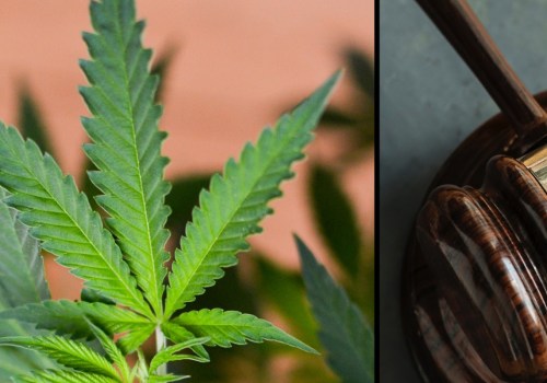 Why should we legalize marijuanas?