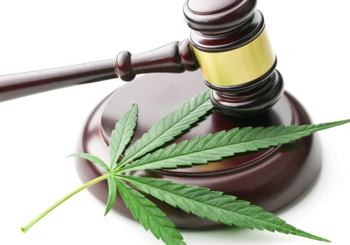 What does drug legalization mean?