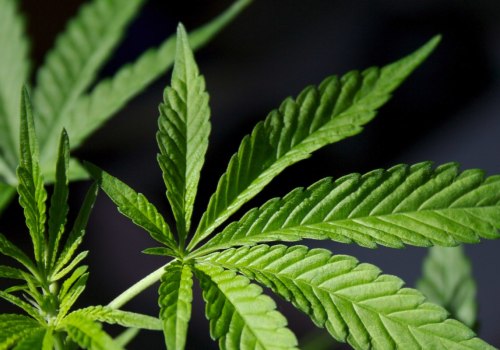 What happens when you legalize something?