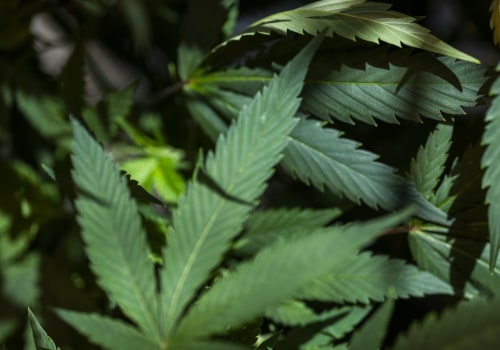 What is the drug legalization debate?